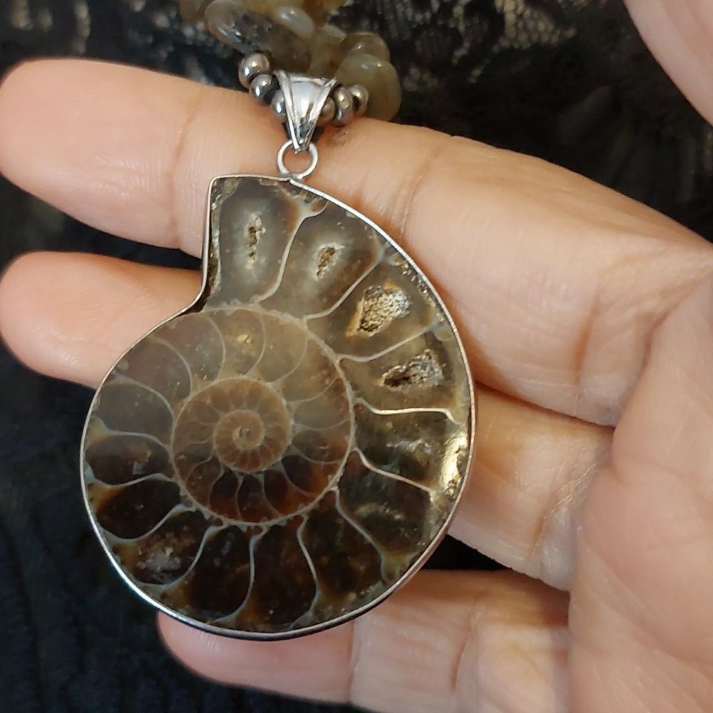 Ammonite Fossil Flashing Labradorite And Ancient … - image 5